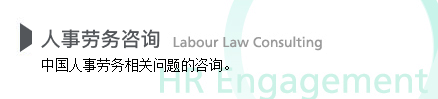 人事劳务咨询 Labour Law Consulting中国人事劳务相关问题的咨询。